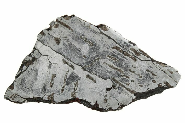 Etched Canyon Diablo Meteorite Section ( g) - Arizona #356044